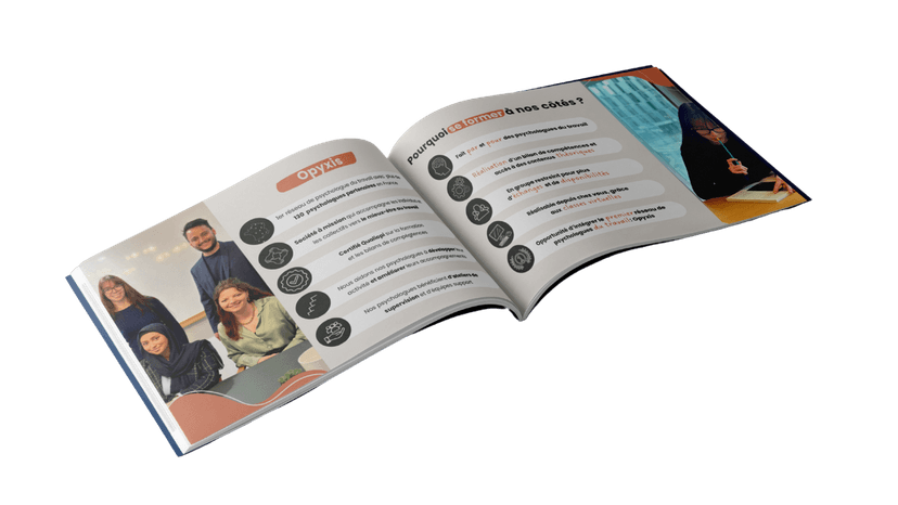 Gestion des Conflits Professionnels