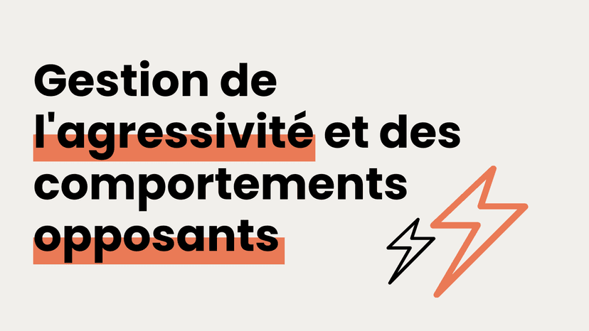 Gestion de l'Agressivité en EHPAD