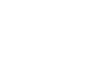 Bilan de compétences (5)